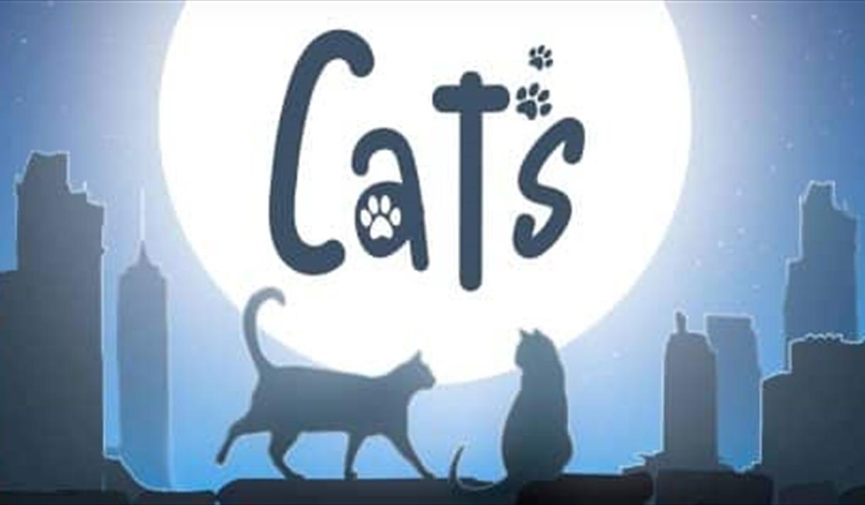 The Sound of Musical Theatre Company presents Cats