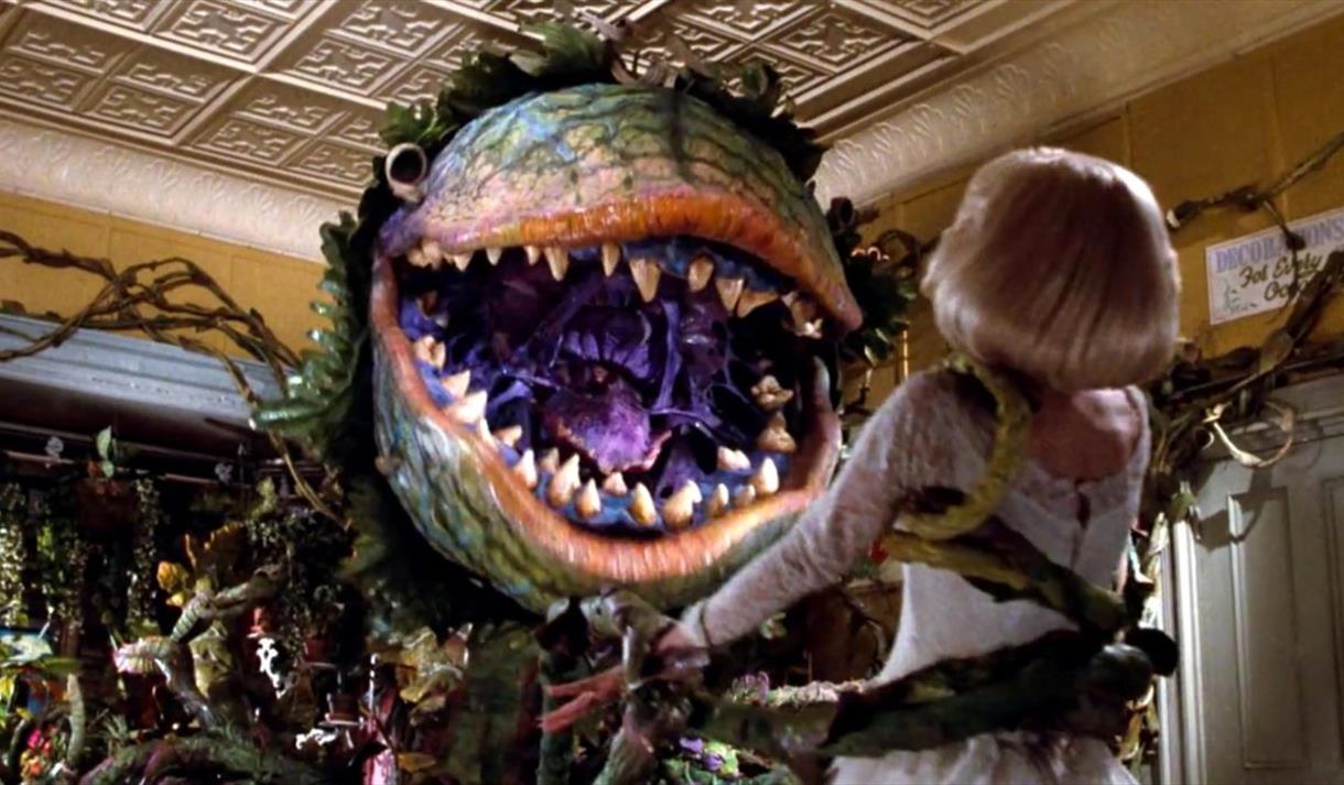 Little Shop of Horrors
