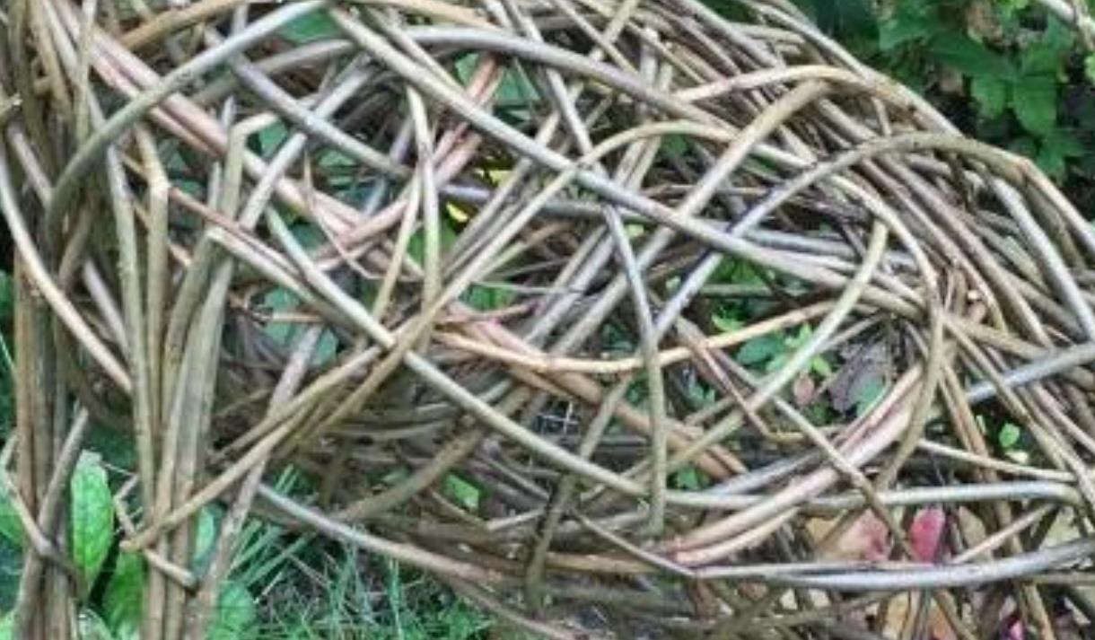 The Rewilding: March Hare Willow Sculpture Workshop