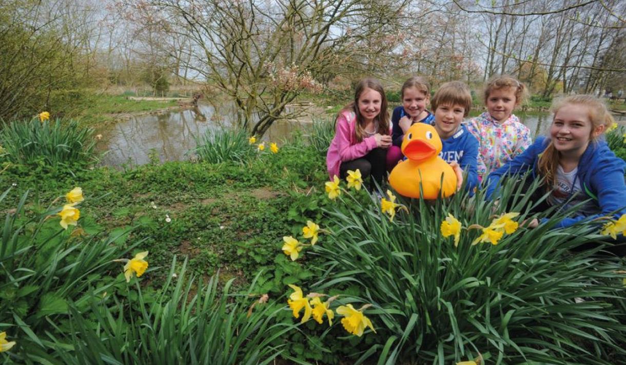 Easter Giant Duck Hunt at WWT Martin Mere