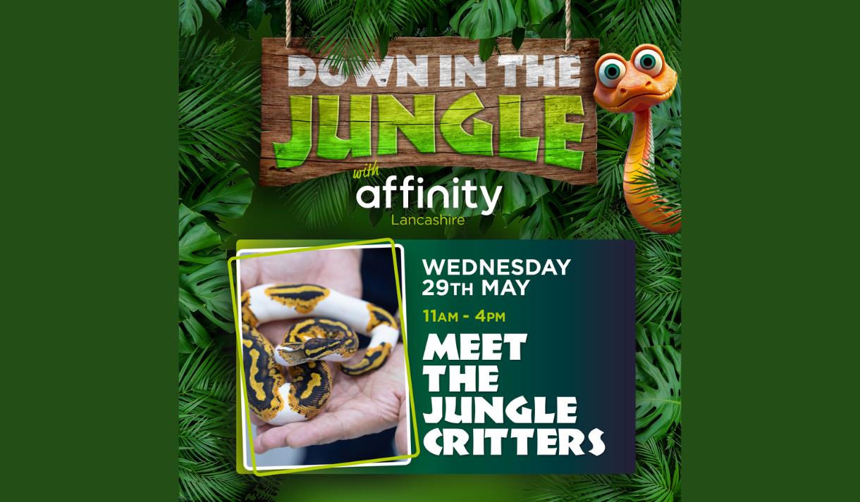 Meet the Jungle Critters at Affinity