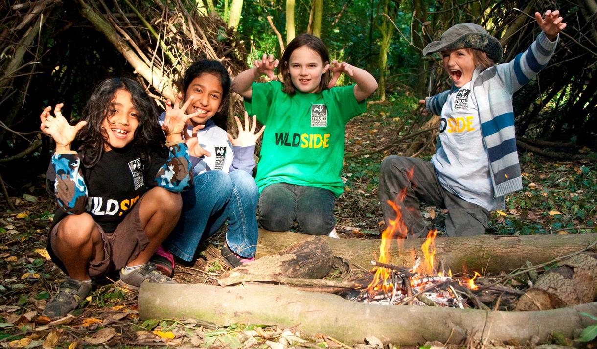 Wildside Adventure Club