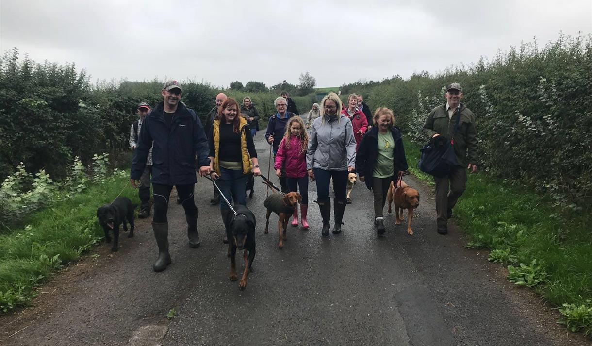 Dog Walk
