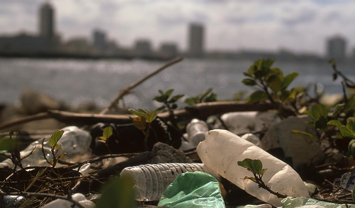 The Rewilding - Coastal Litter Picking Cockerham