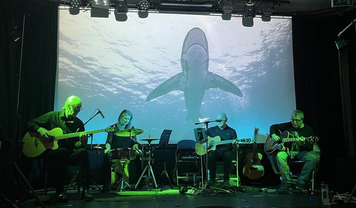 Acoustic Floyd, The Music of Pink Floyd