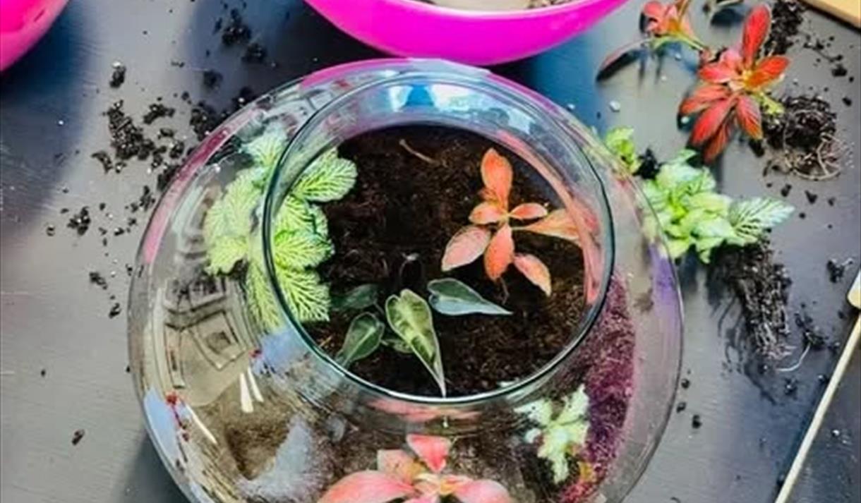 Corked Jar Terrarium Workshop