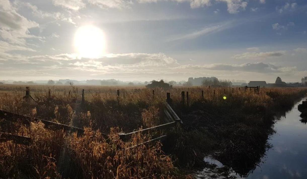 Guided Walks at WWT Martin Mere