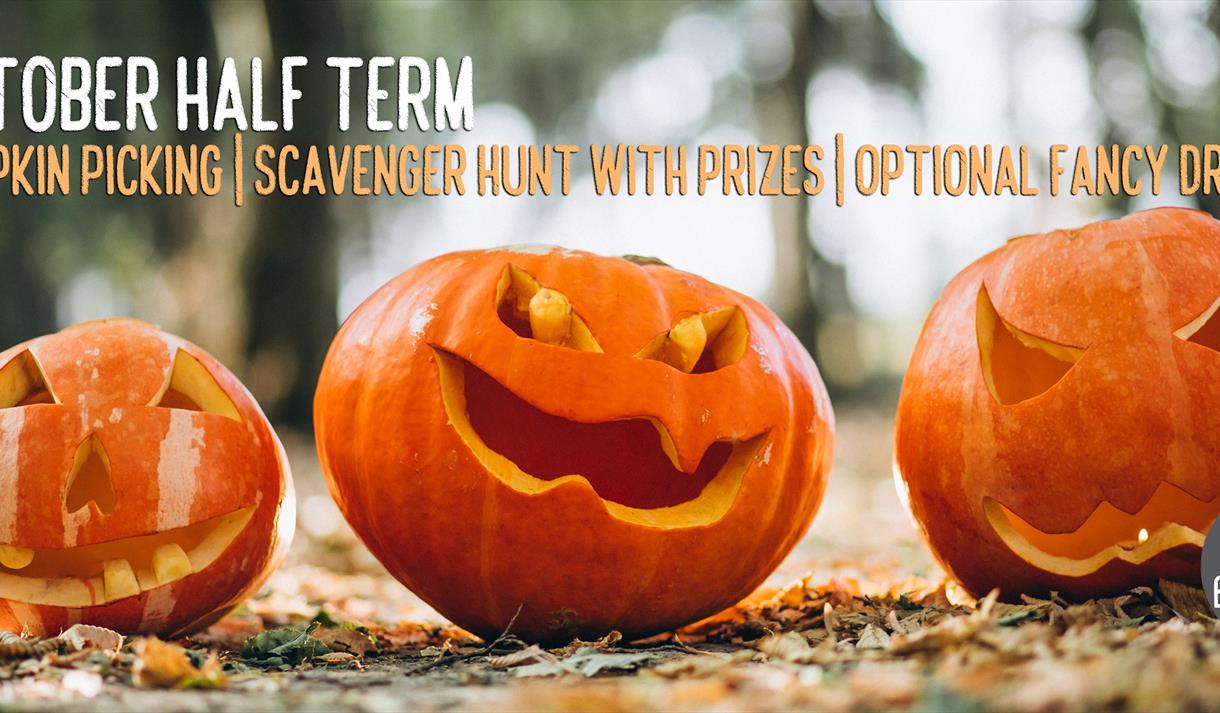 Halloween Activities