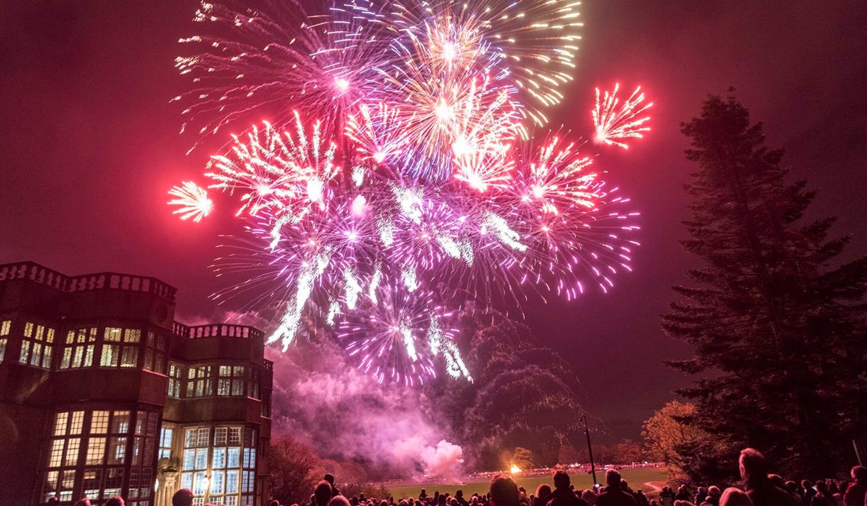 Bonfire and fireworks