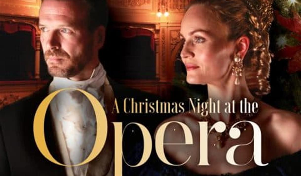 A Christmas Night at the Opera
