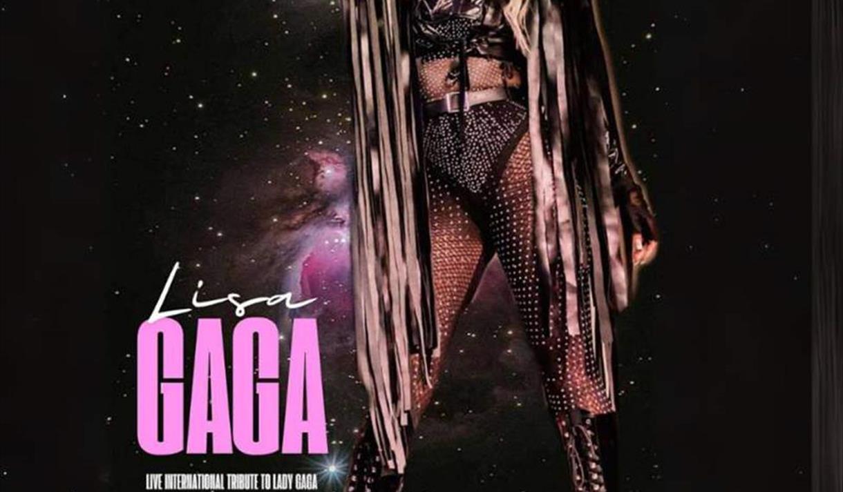 Lady Gaga - The Monster Party