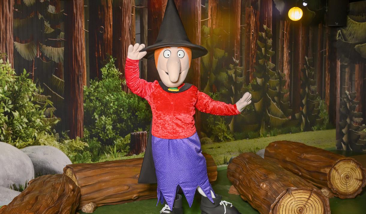 Meet Witch from Room on the Broom