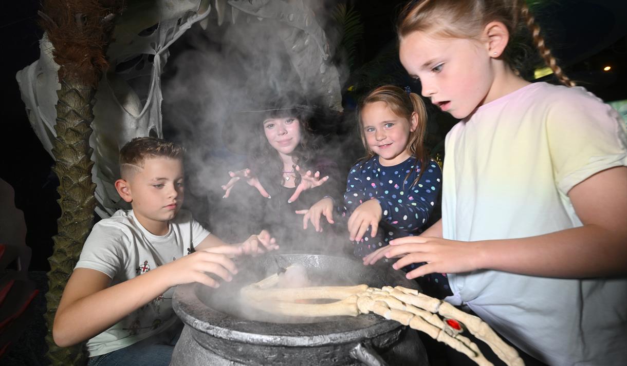 Ascarium: Tricks & Treats at Sea Life Blackpool