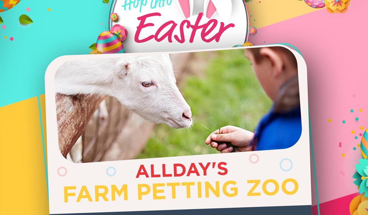 Easter Petting Zoo with Alldays Farm