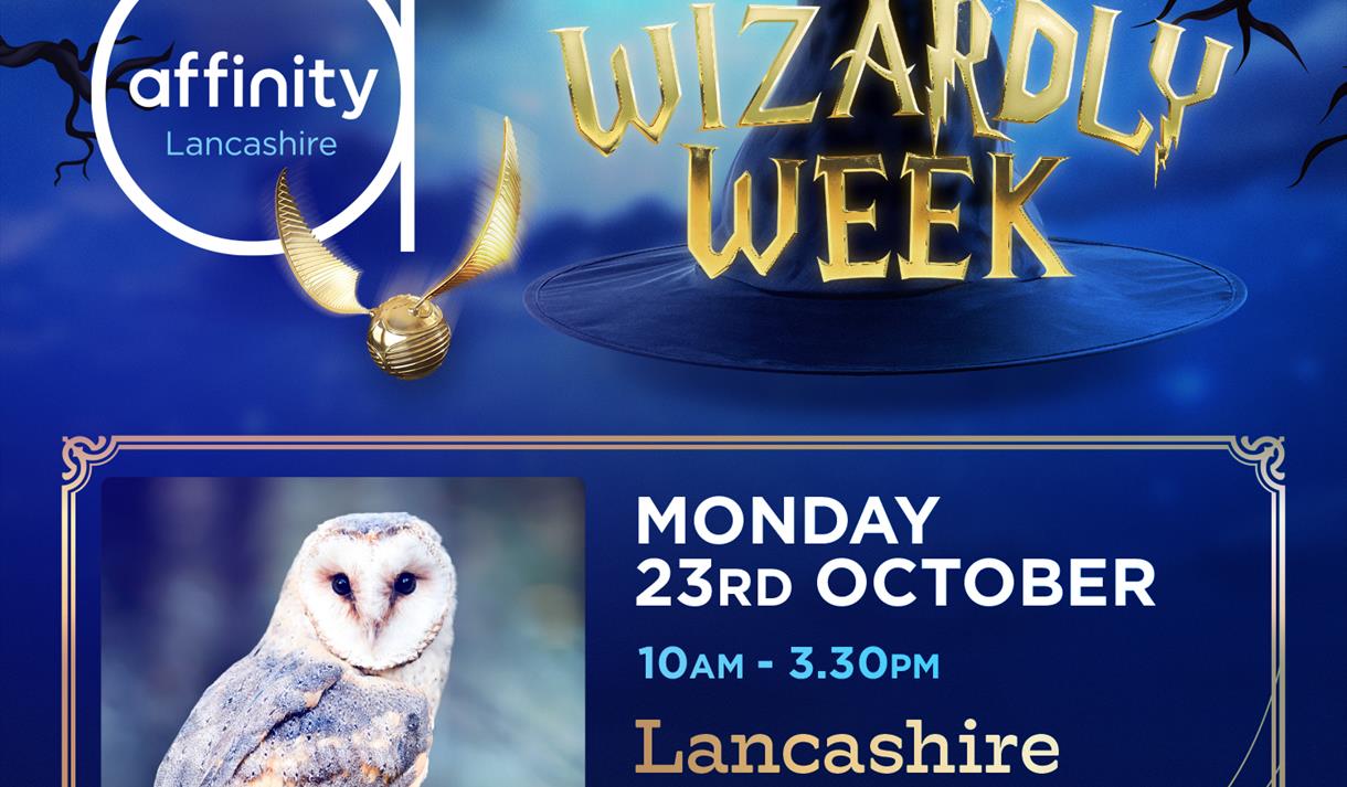 Meet the Hawks and Owls