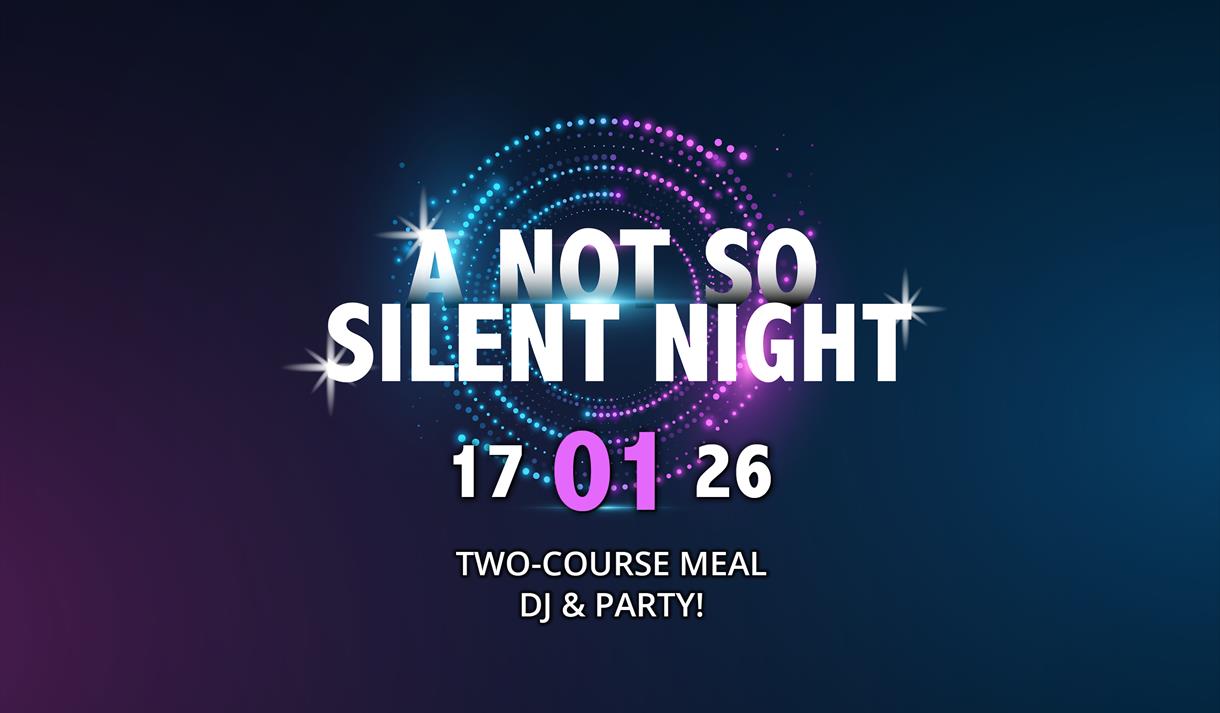 A Not So Silent Night (a post-Christmas party)