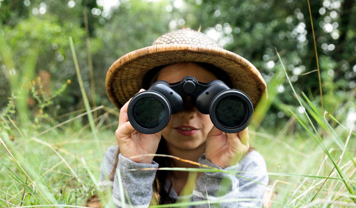 Wildlife Adventurer at Mere Sands Wood