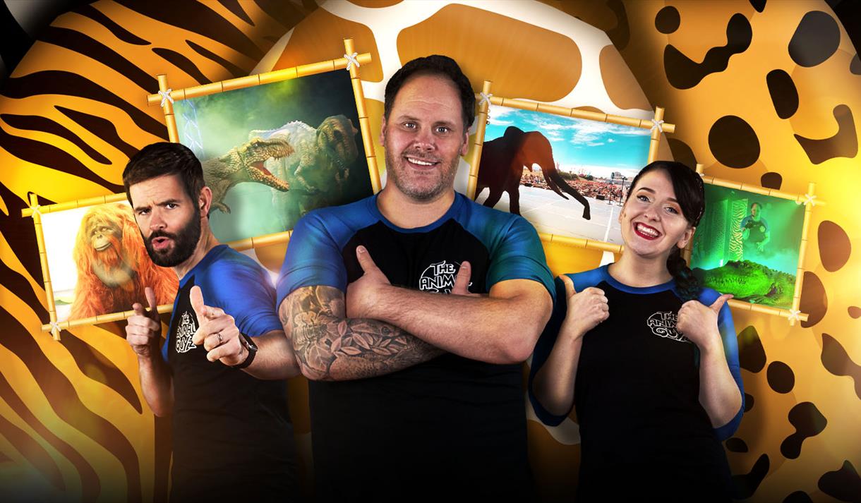 Animal Antics Poster