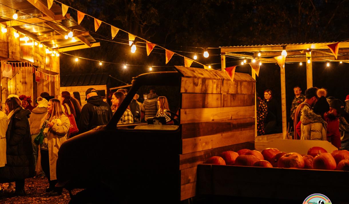 Pumpkin Nights