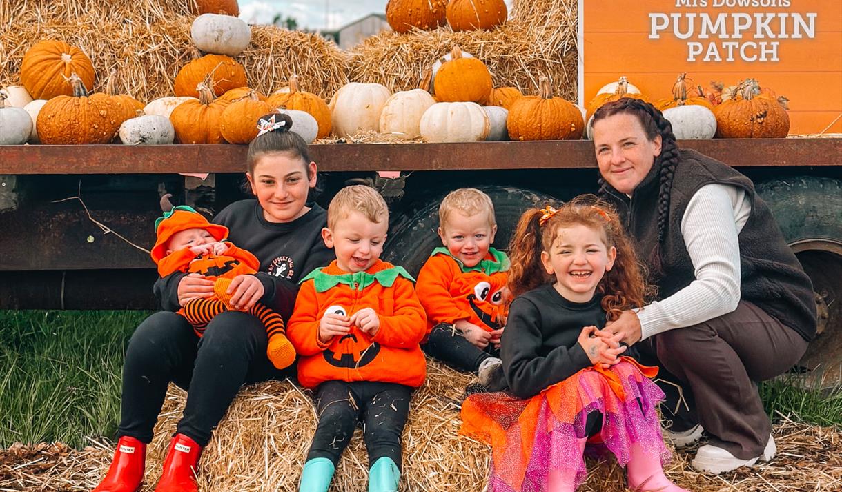 Pumpkin Picking + Farm Admission