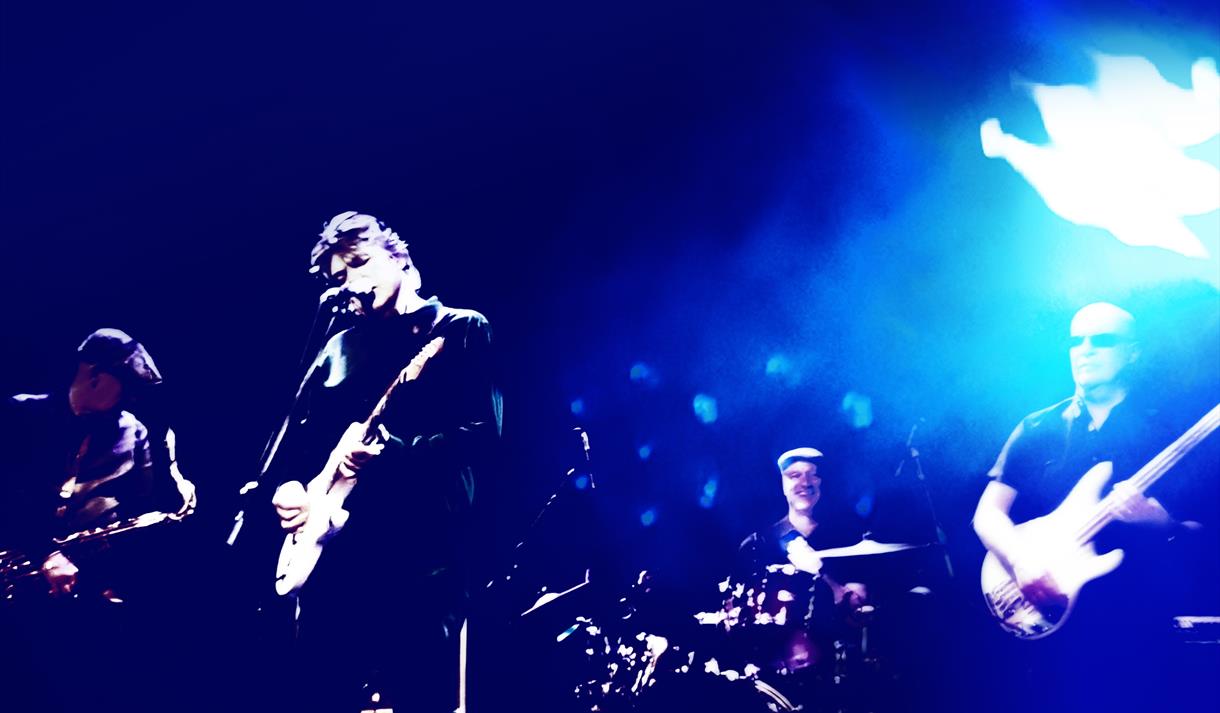 The Blow Monkeys