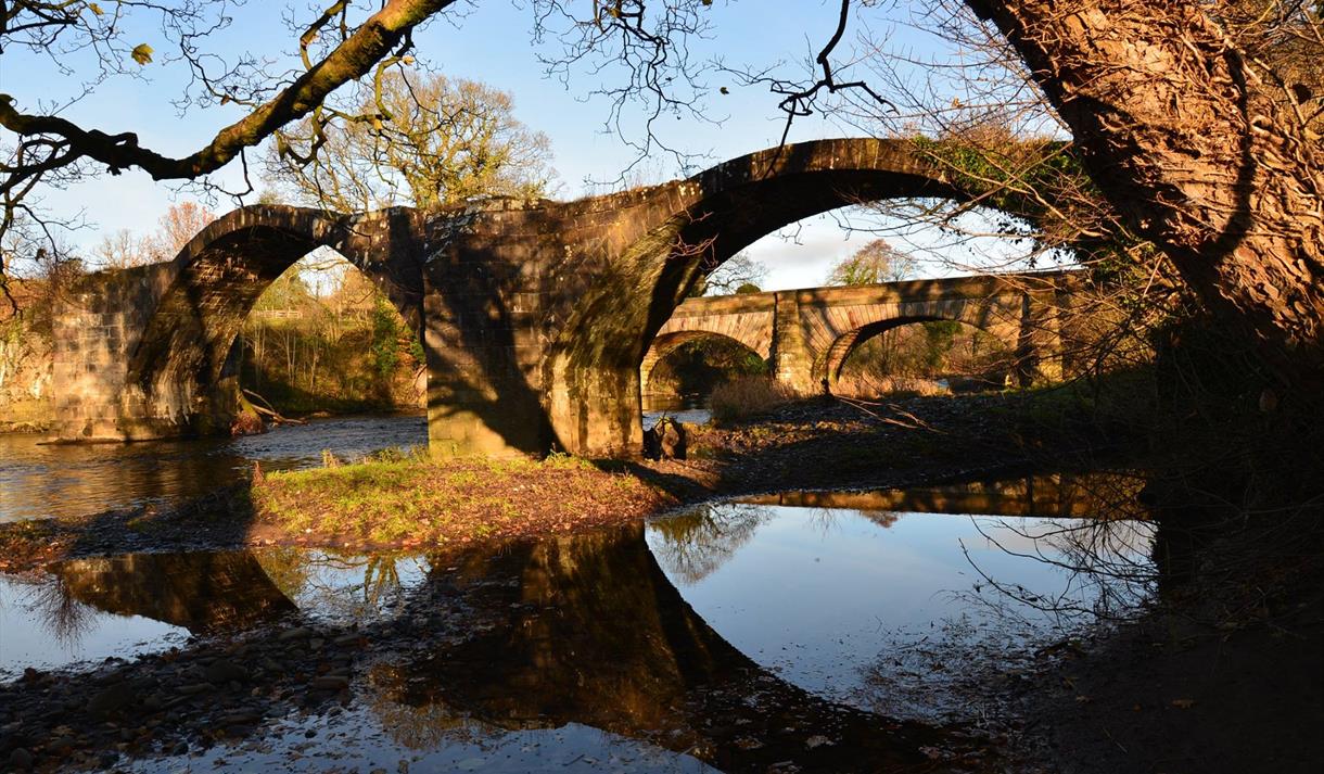 Festival Bowland 2022 - Medieval Bridges of the Ribble Valley (online event)