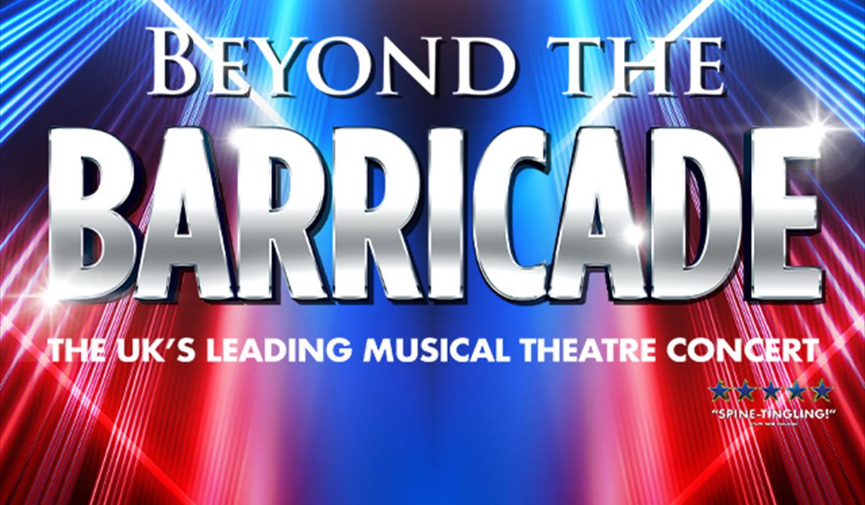 Beyond the Barricade