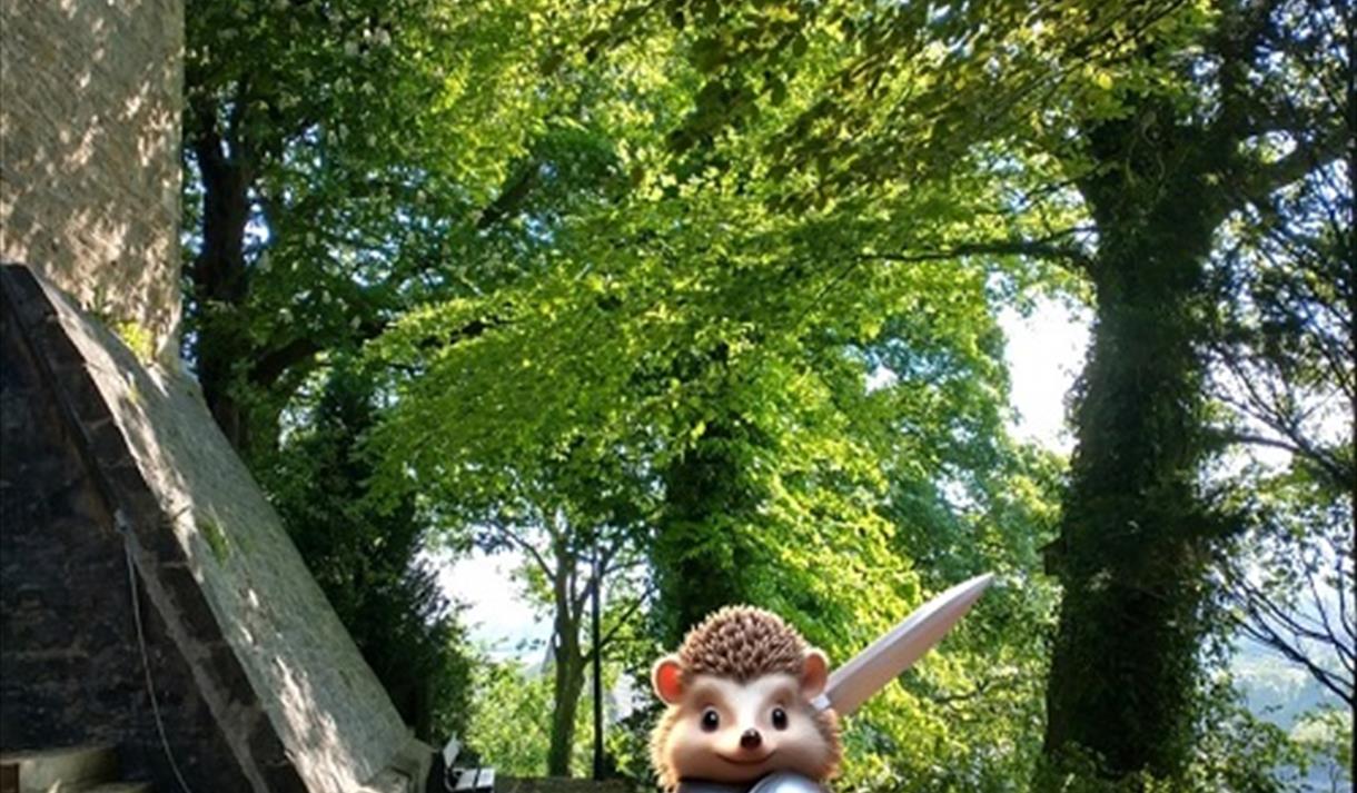 Hidden Hedgehogs Competition Hunt
