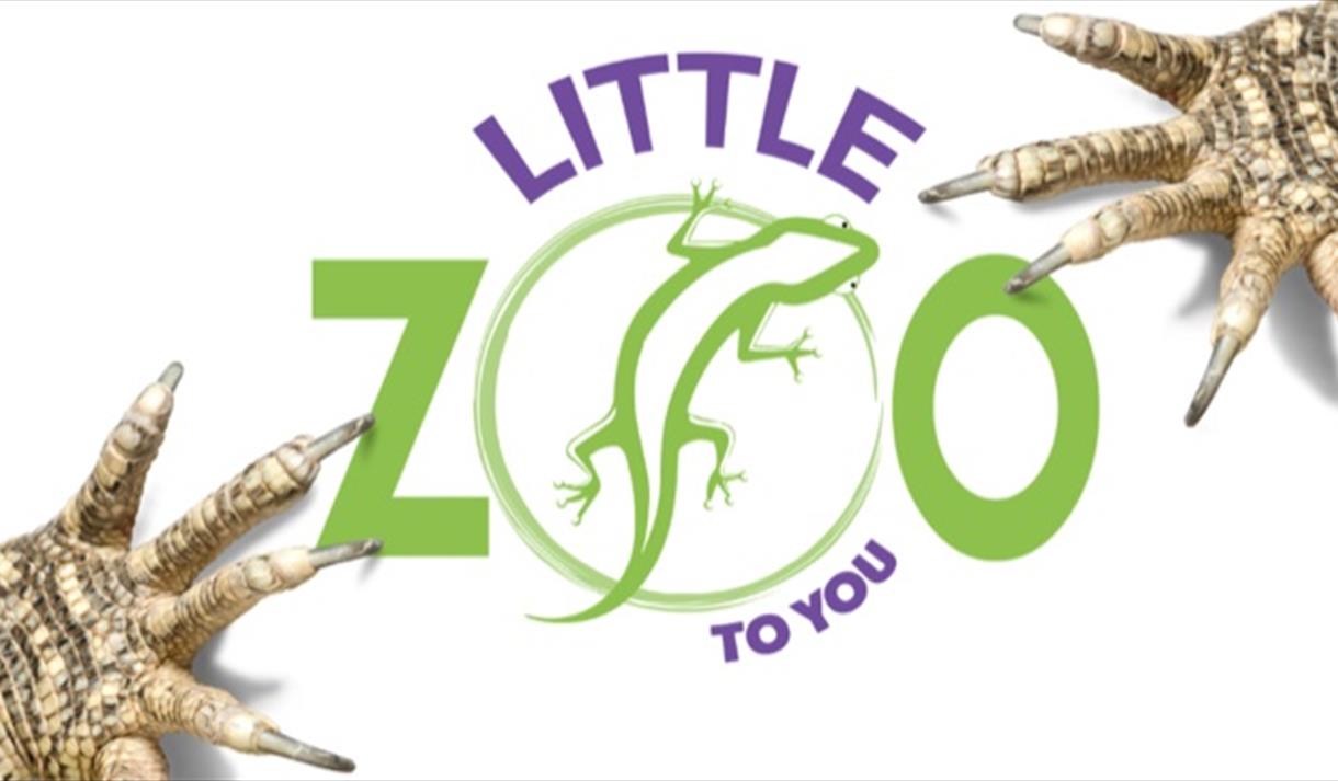 Meet the Mini Beasties with Little Zoo to You