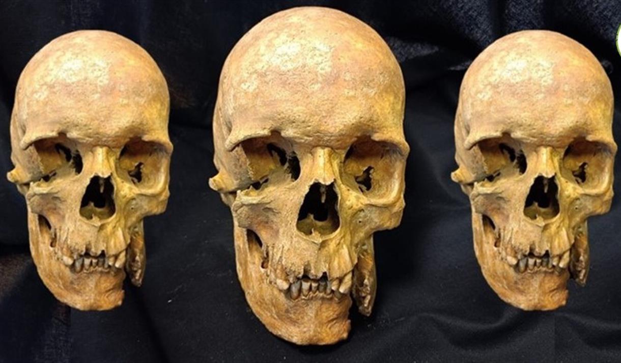 Teeth Tell Tales with Dr Allison Stewart (UCLan)