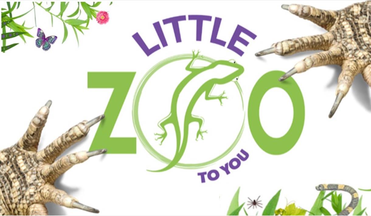 Little Zoo to You
