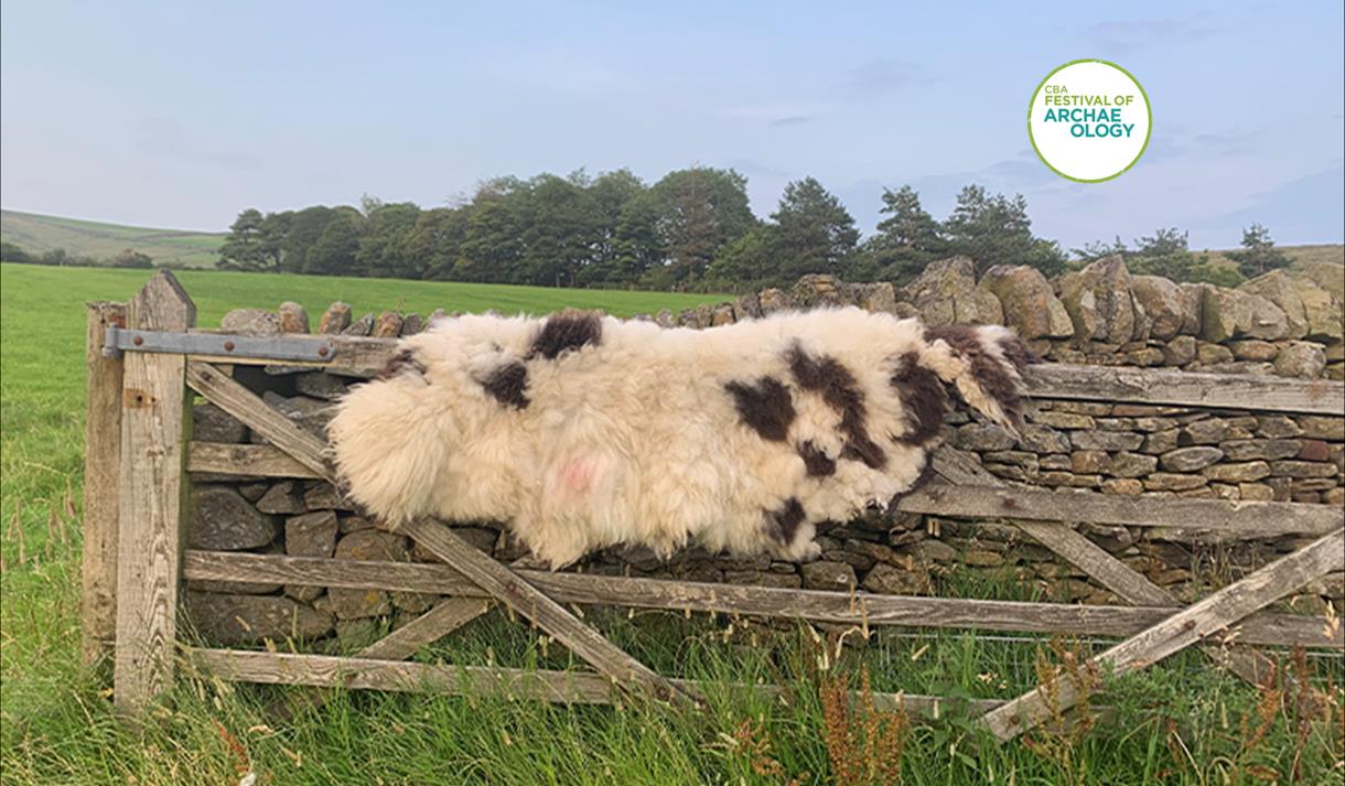 Historic Handcrafts: Peg Loom Talk & Taster with Mountain Croft Felted Fleece