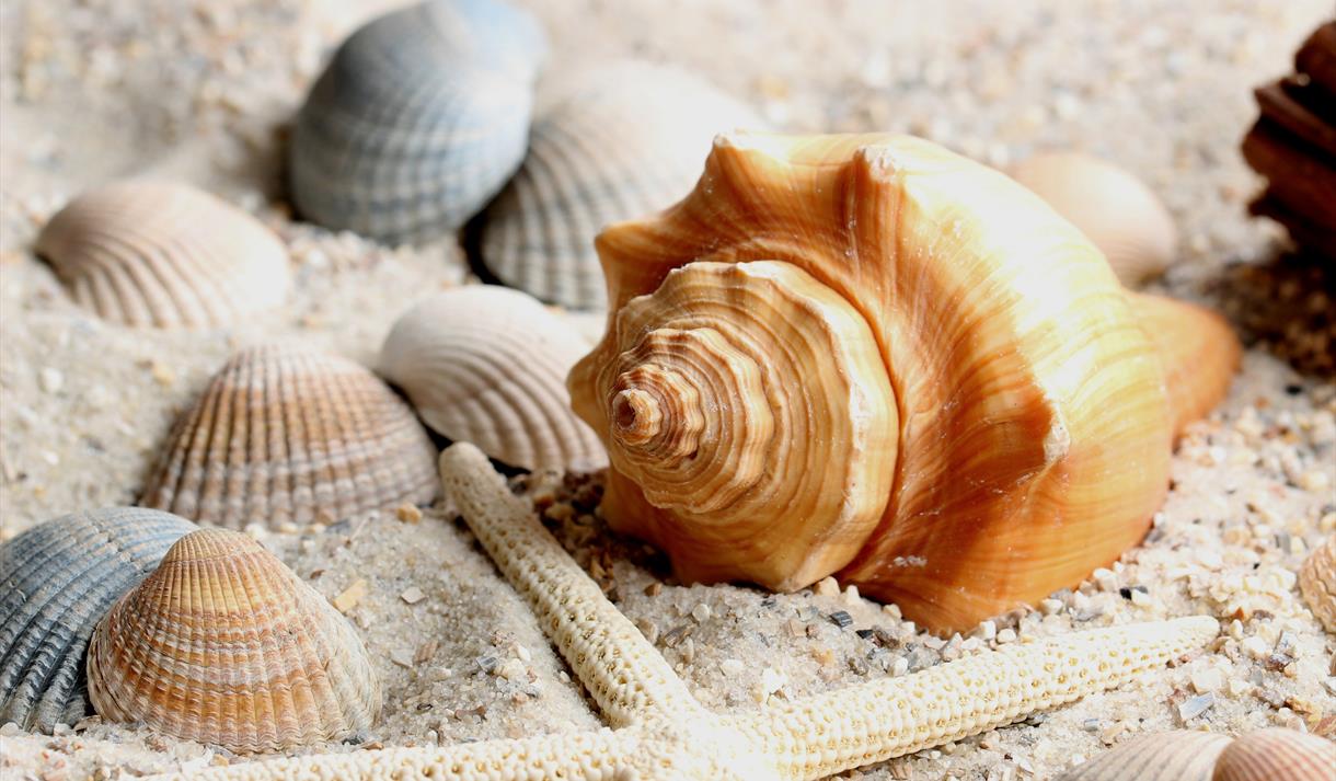 Creative Wellbeing Summer Crafts with Lancashire Adult Learning