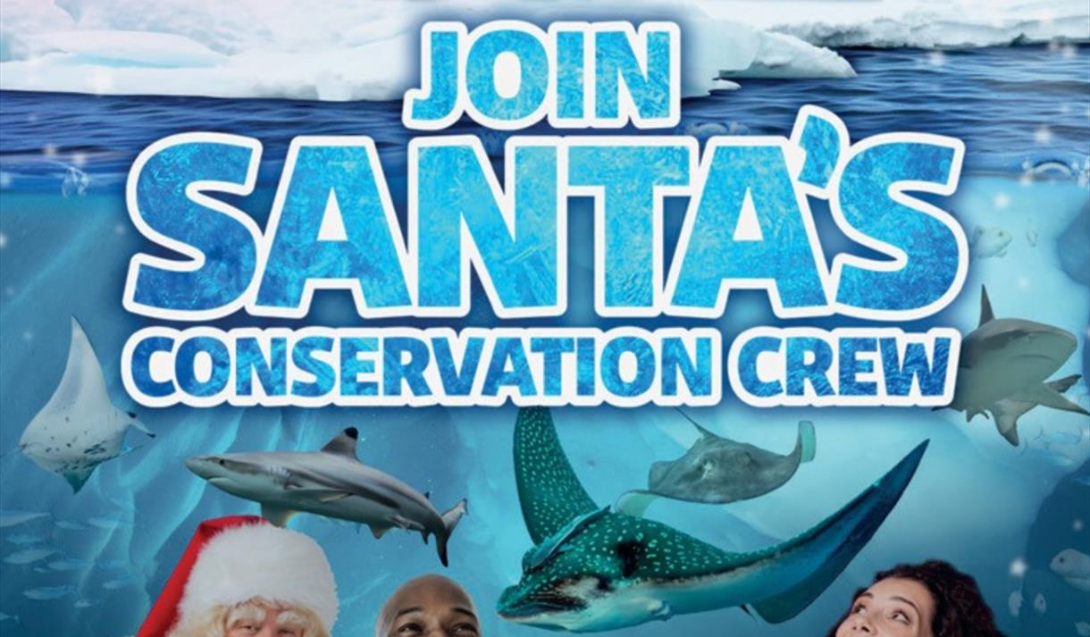 Santa's Conservation Crew