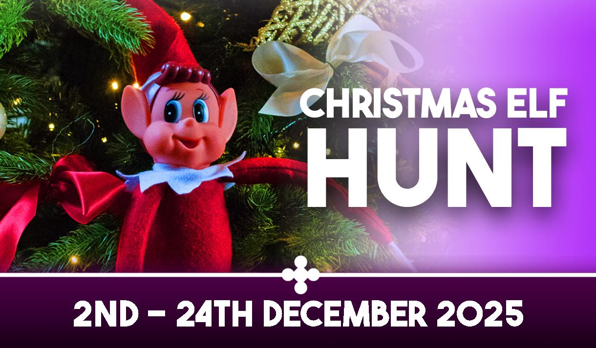 Christmas Elf Hunt