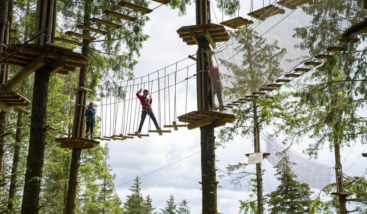 February Half Term Outdoor Adventure at Go Ape Rivington