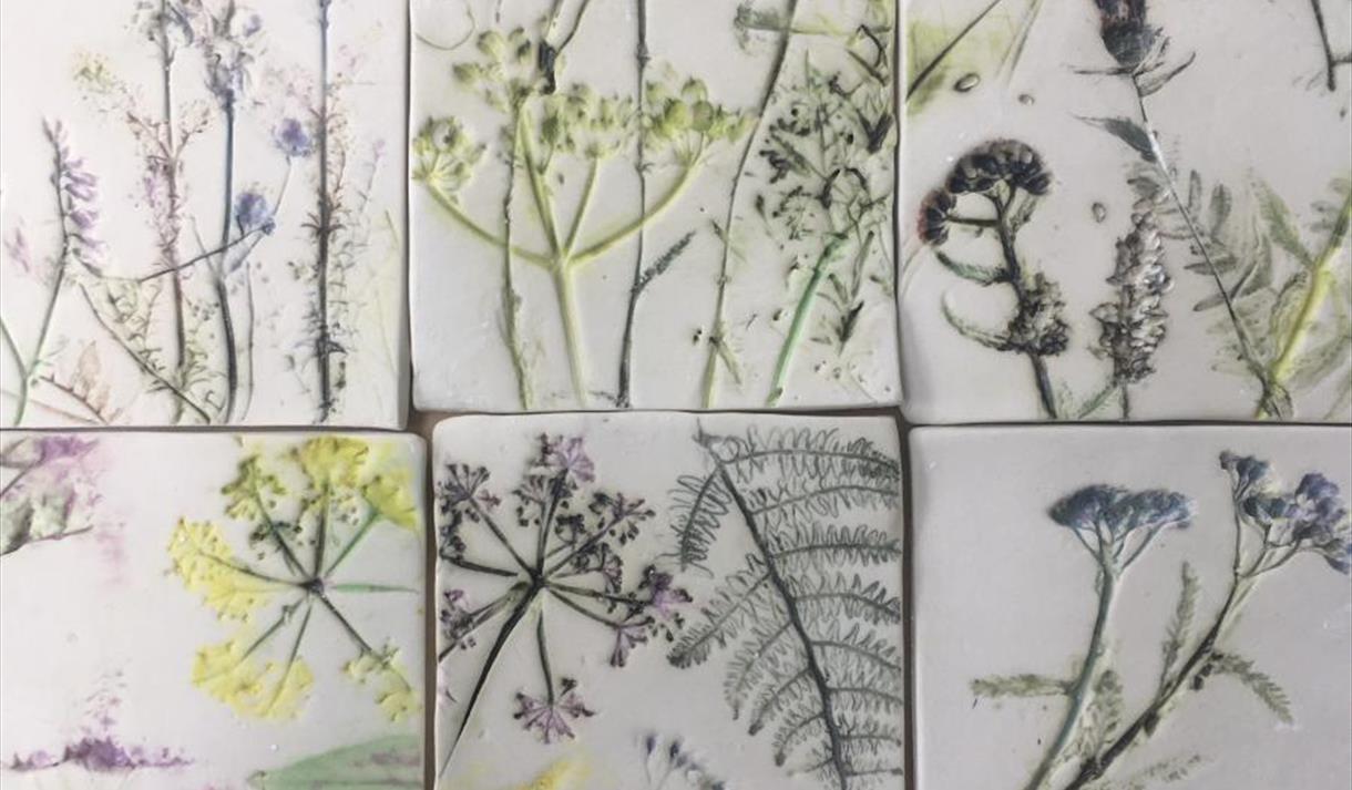 Meadow Art Workshop - Acrylic Painting