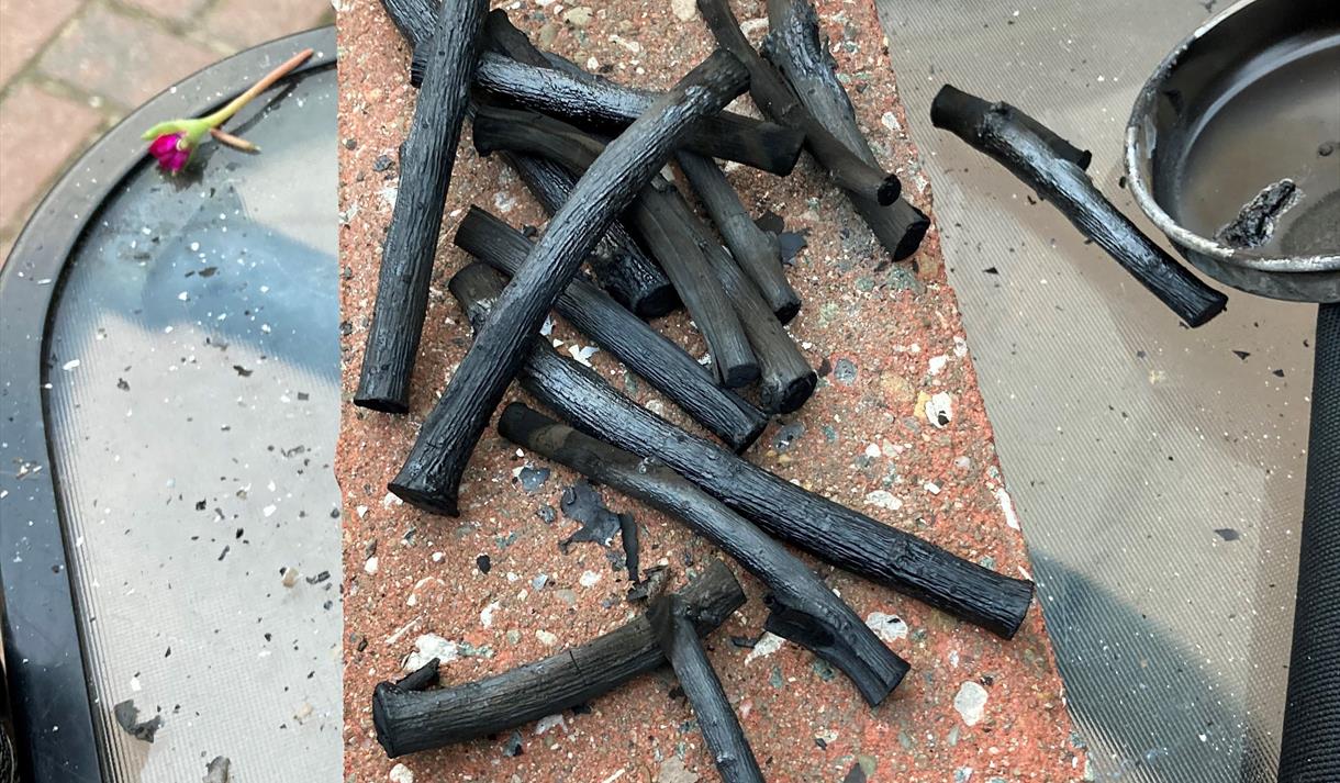 Image of charcoal sticks on a table.