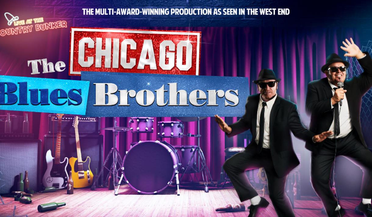 The Chicago Blues Brothers