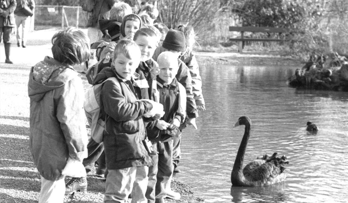50th Anniversary Exhibition at WWT Martin Mere