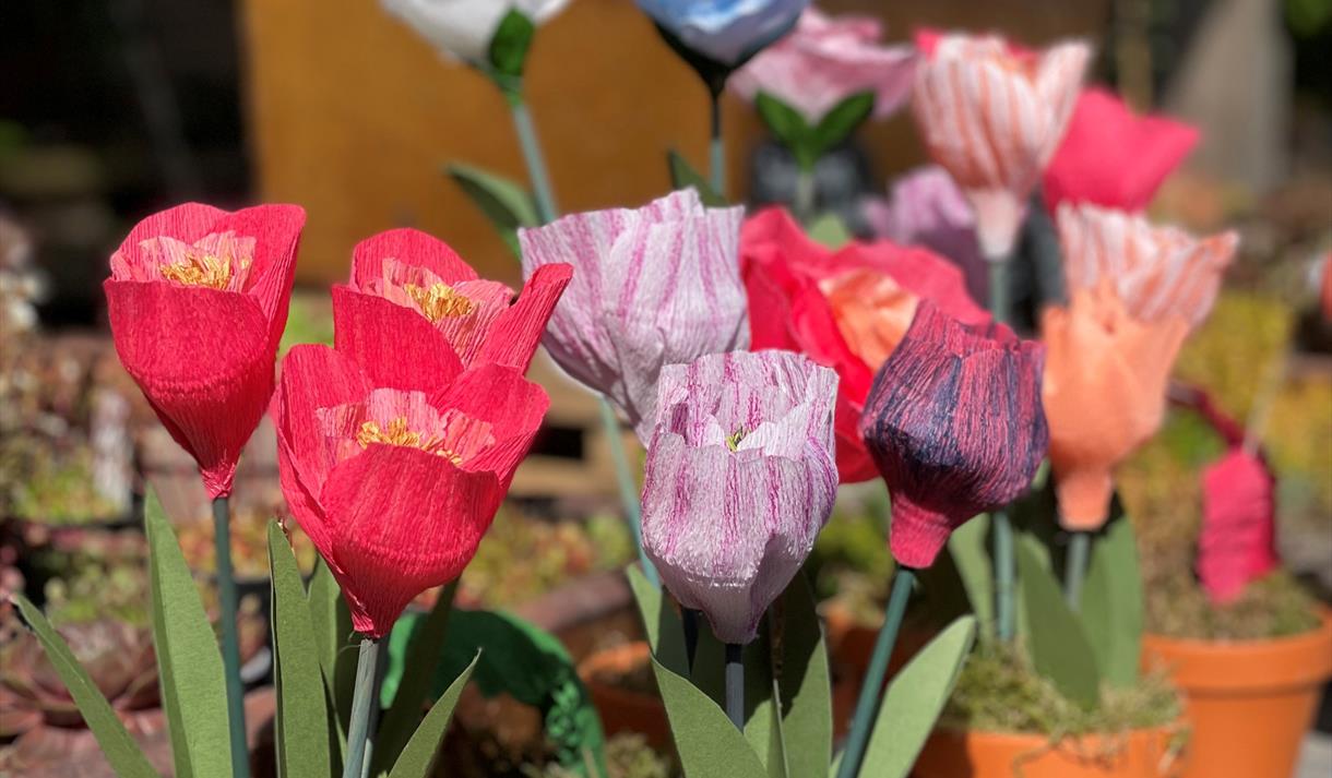 Crepe Paper Flower Craft