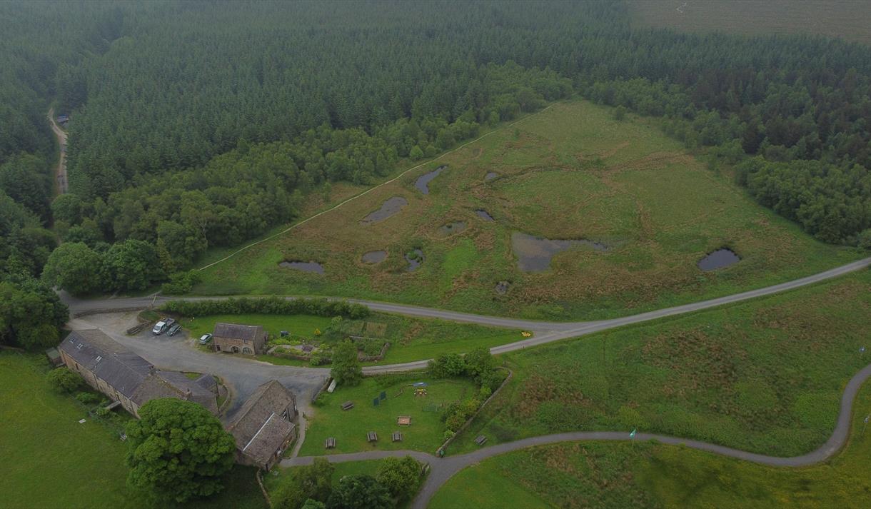 Gisburn Forest