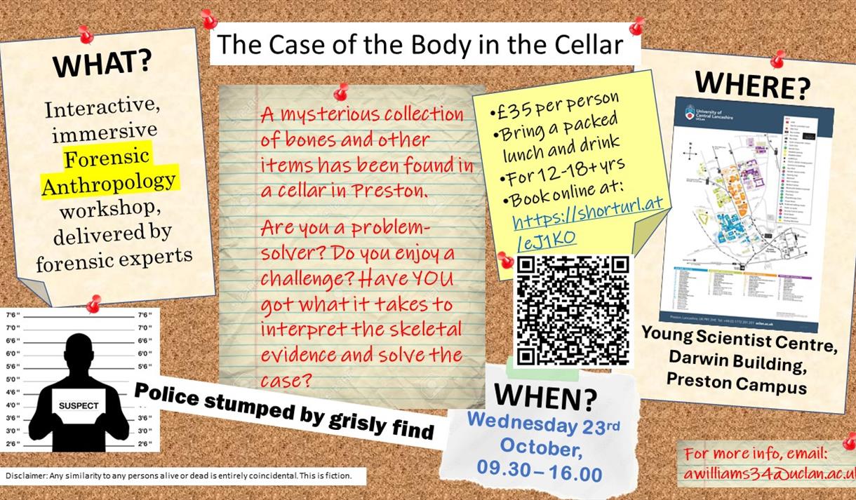 The Case of the Body in the Cellar