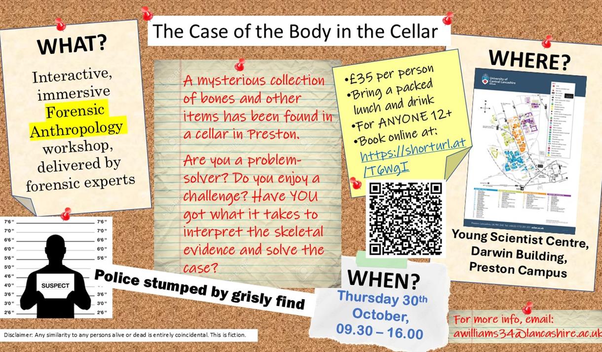 The Case of the Body in the Cellar