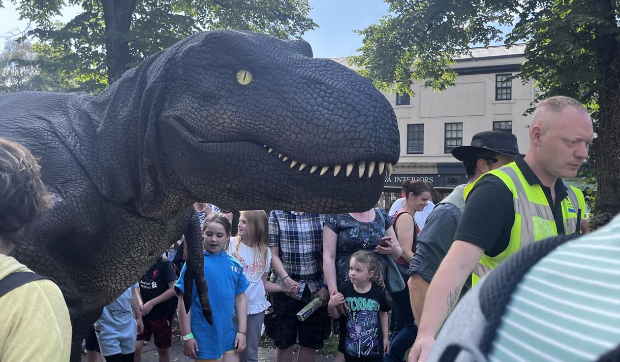 Dino Fest