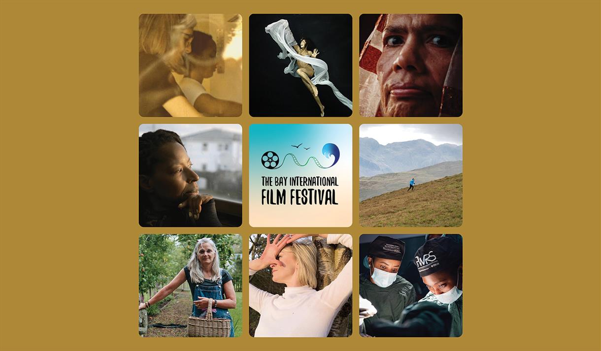 Female Stories (Documentary Short Films)