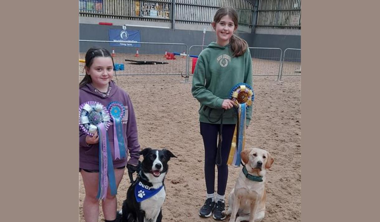 Fun Dog Show