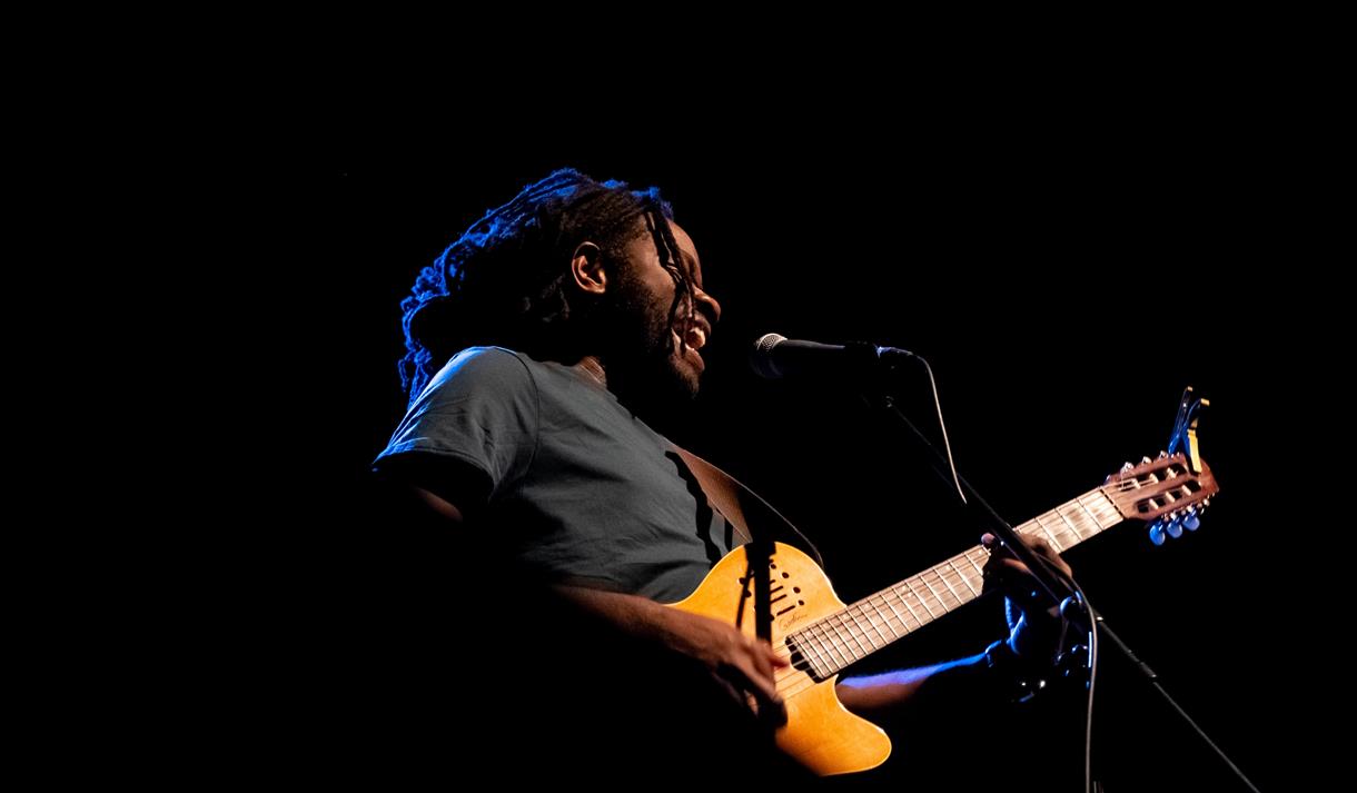 Bob Marley: How Reggae Changed The World - Poulton