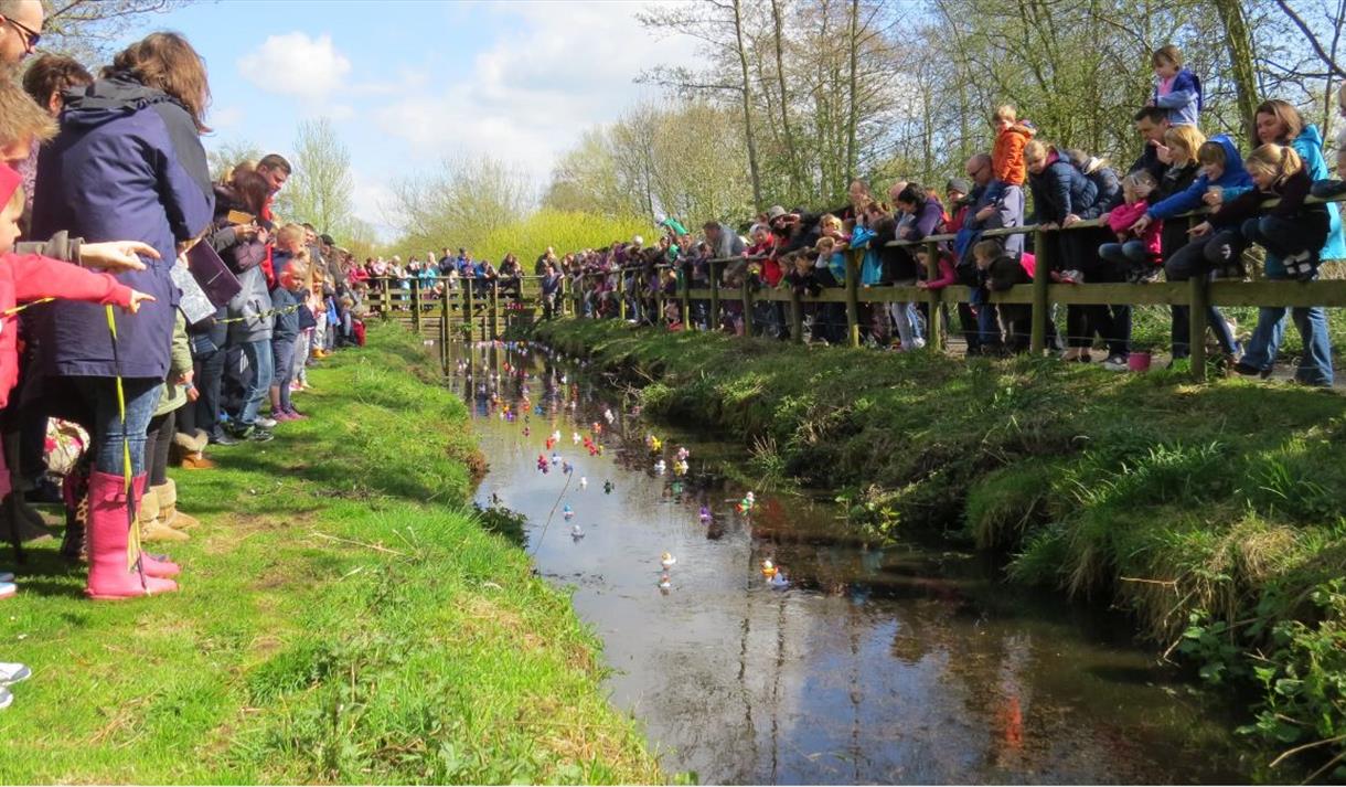 Annual Duck Race at WWT Martin Mere