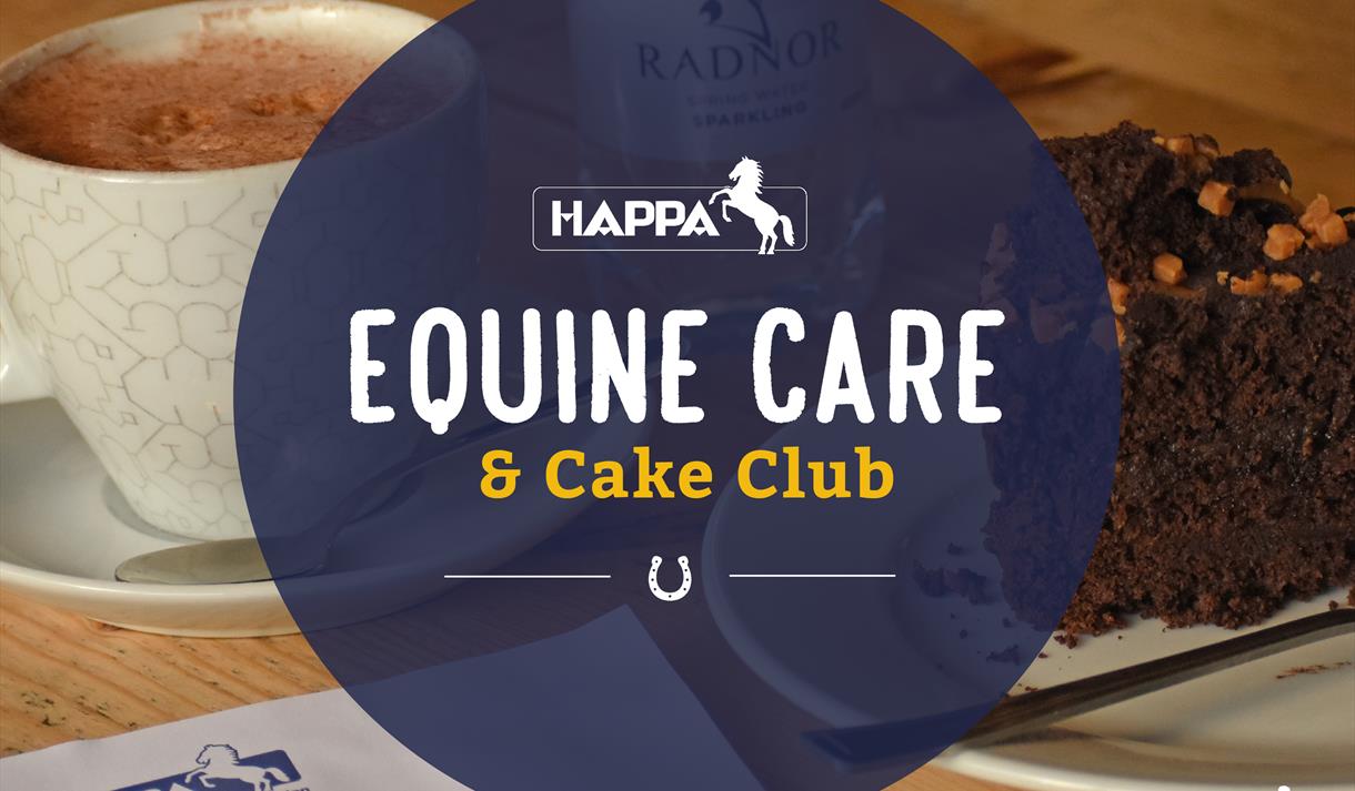 Equine Care & Cake Club at HAPPA